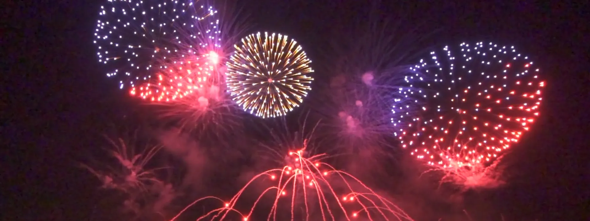 Denoise before/after — noise removed and detail vividly restored